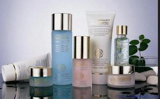 上海伯斯卡國際貨物運輸代理公司 一站式進(jìn)口化妝品、食品與家具清關(guān)服務(wù)